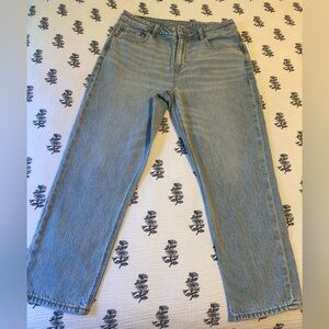 American Eagle Outfitters Light Blue Men's Straight Jeans